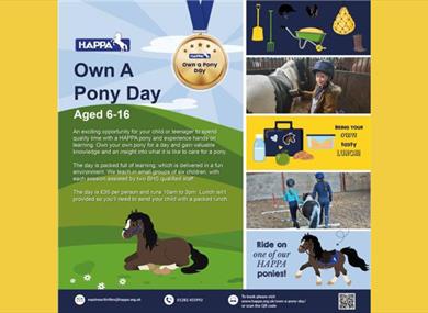 Own a Pony Day at HAPPA