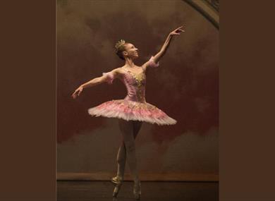 The Nutcracker