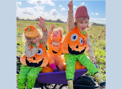 The Pumpkin Picking Adventure at Windmill Animal Farm