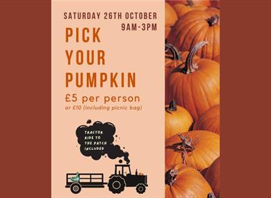 Pick Your Pumpkin at Brickhouse Farm