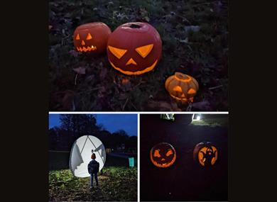 Pumpkin Trail at Edgeside Park