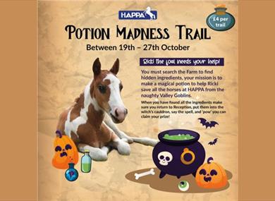 Ricki's Potion Madness Trail at HAPPA