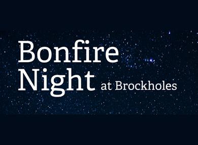 Bonfire Night at Brockholes