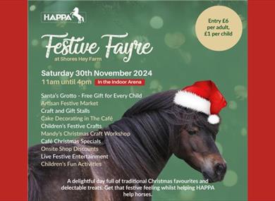 Festive Fayre at HAPPA