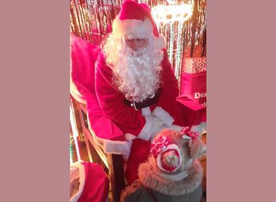 Christmas Fair at Penny Farm