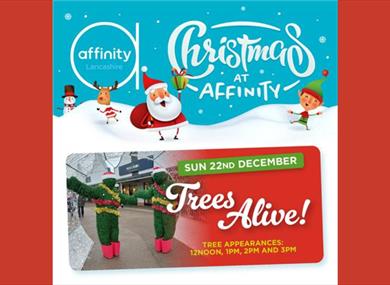 Christmas at Affinity: Meet the Trees Alive