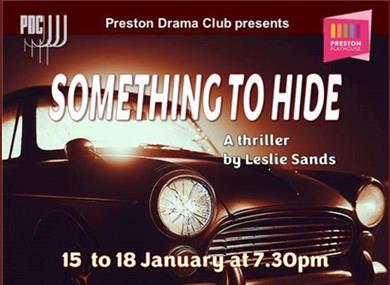 Something to Hide by Leslei Sands