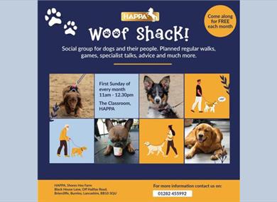 Woof Shack at HAPPA