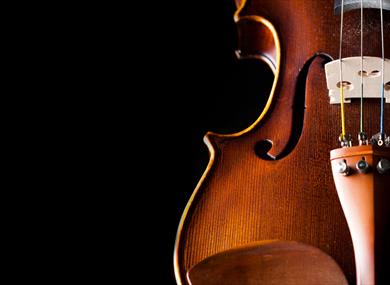 Violinist Jonny Hoyle Performance