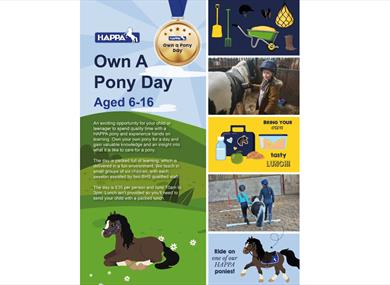 Own a Pony Day at HAPPA