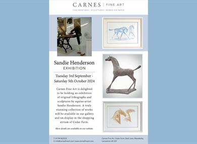 Sandie Henderson Exhibition - A Magical Process