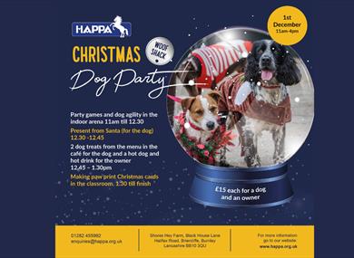 Christmas Dog Party!