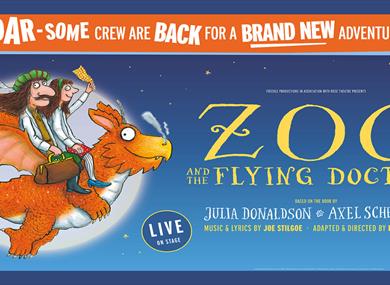Zog and the Flying Doctors