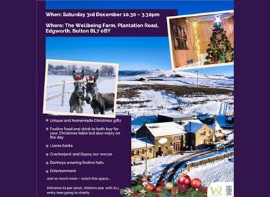 The Wellbeing Farm MAD and Ethical Christmas Fair