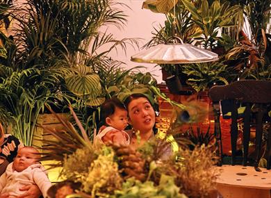 Family Theatre : Great Big Tiny World