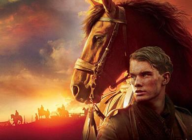 War Horse (12)