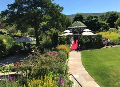 Wedding Open Day