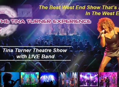 Tina Turner experience promotional poster