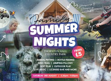 Family Summer Night
