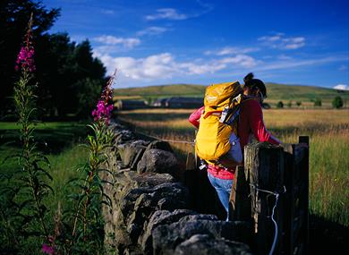 Winewall Circular Walks