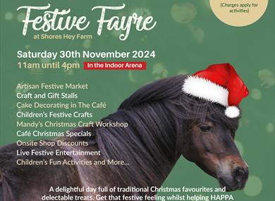 Festive Fayre