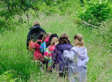 Free Family Nature Events - Minibeast Madness