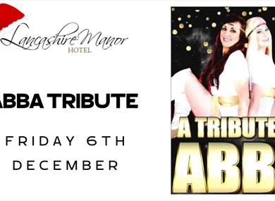 Sold Out: Abba Tribute Christmas Party Night
