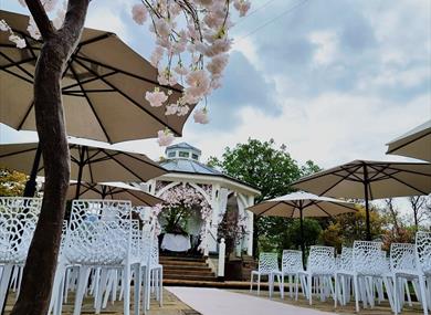 Wedding Open Day