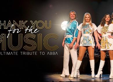Thank You For The Music