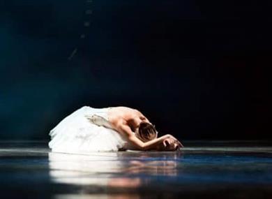 Crown Ballet: Swan Lake