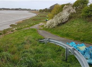 Estuary clean