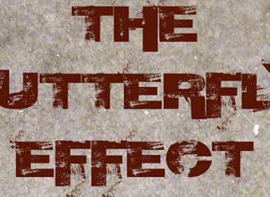 The Butterfly Effect