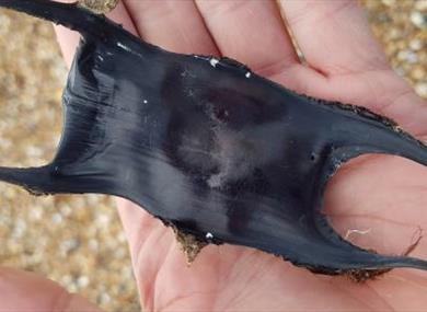 Great Easter Eggcase Hunt at Rossall Point Observation Tower