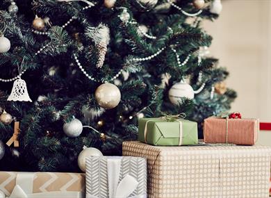 Christmas Gift Fayre & Lunch