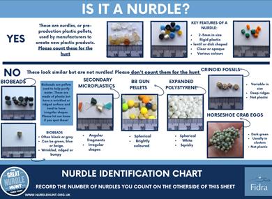 Nurdle Identification Chart