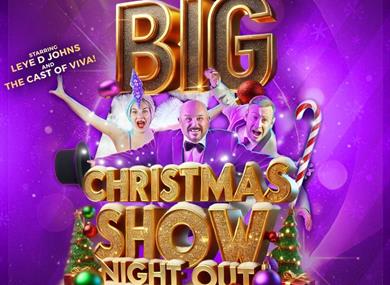 Viva's Big Christmas Show Night Out