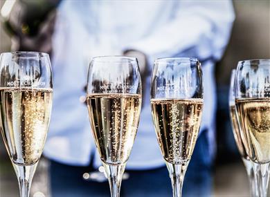 Sparkling Wines and Champagne (Preston)
