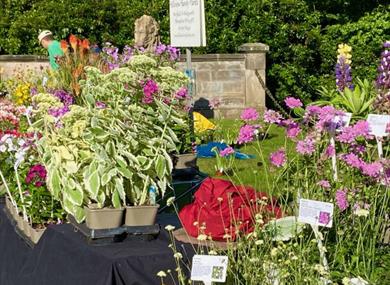 Pop up Plant Fair at Leighton Hall