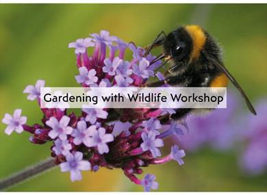 Gardening with Wildlife with Greg Anderton