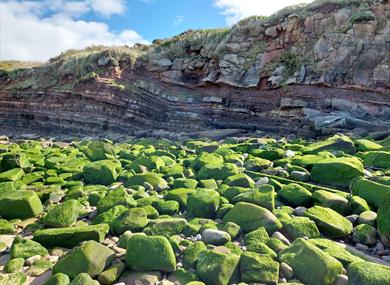 Family Geology Walk from Half Moon Bay