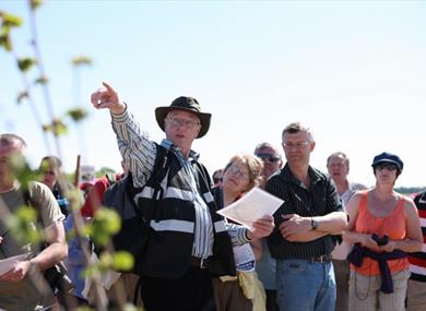 A Wildflower Year Guided Walk at Brockholes