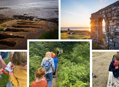 Heysham Head Family Exploration
