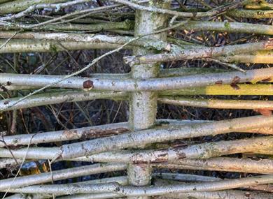 Coppice Crafts: Hurdle Making Wild Workshop