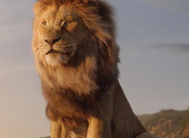 Lion King (2019) (PG)