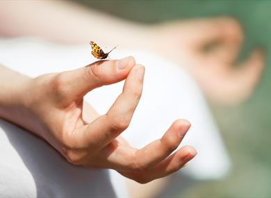 Mindfulness, Breathwork & Lifestyle Coaching Session