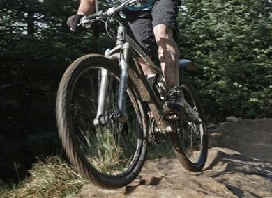 Witton Park Pump Track
