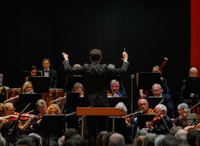 The Haffner Orchestra