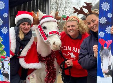 Penny Farm Christmas Fair 2023