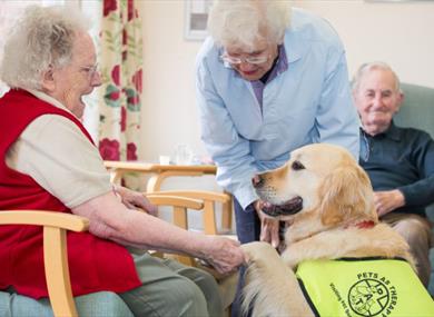 Pets as Therapy Family Fun Day