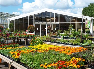 Pimbo Garden Centre